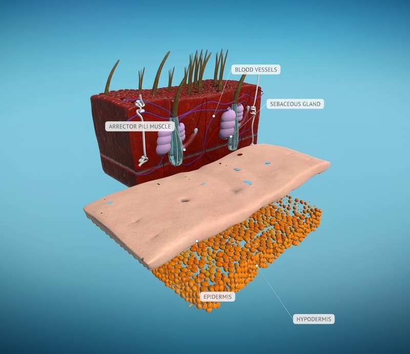 ROQED Science 3D technology skin — product frame from the Science classroom