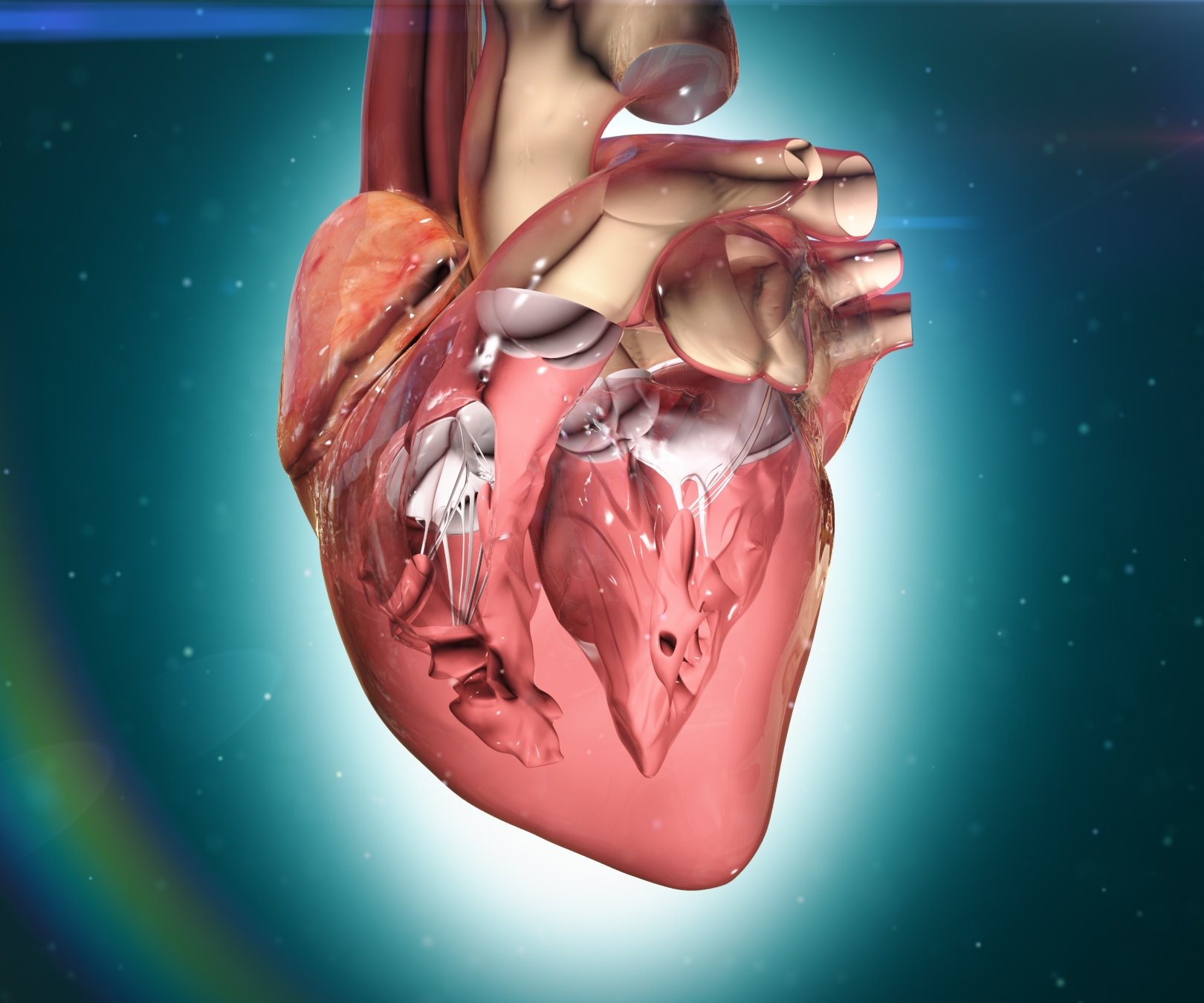 Pathology 3D screenshot