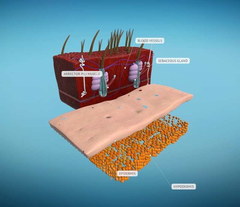 ROQED Science 3D technology skin: a product frame from the Science classroom