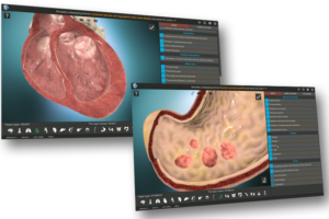 Интерфейс в Pathology3D